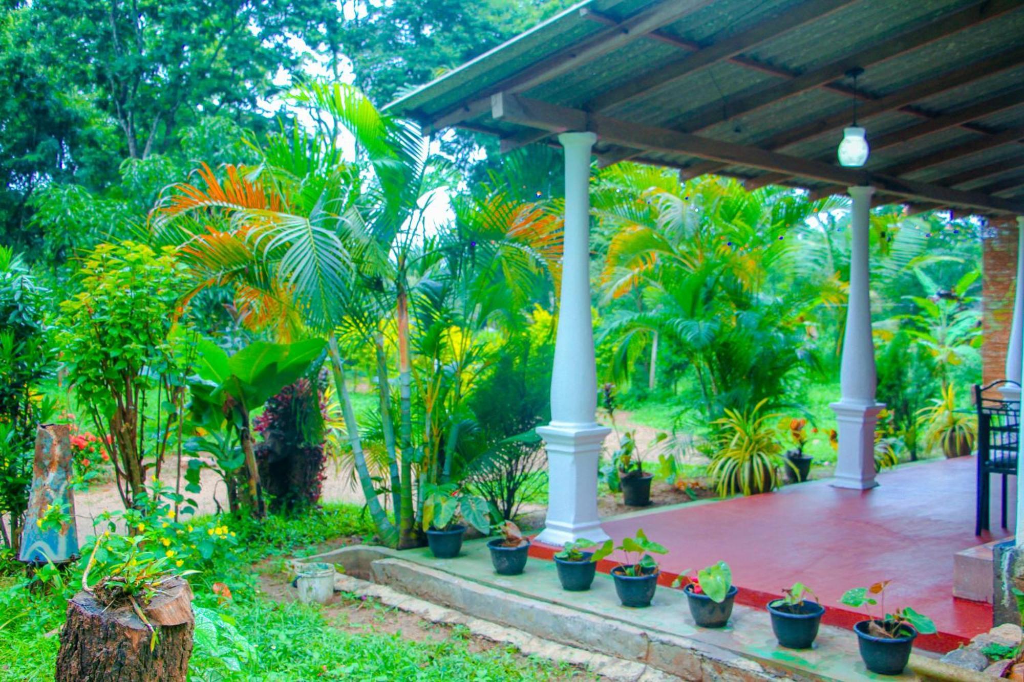 Chanaka Holiday Inn Sigiriya Buitenkant foto