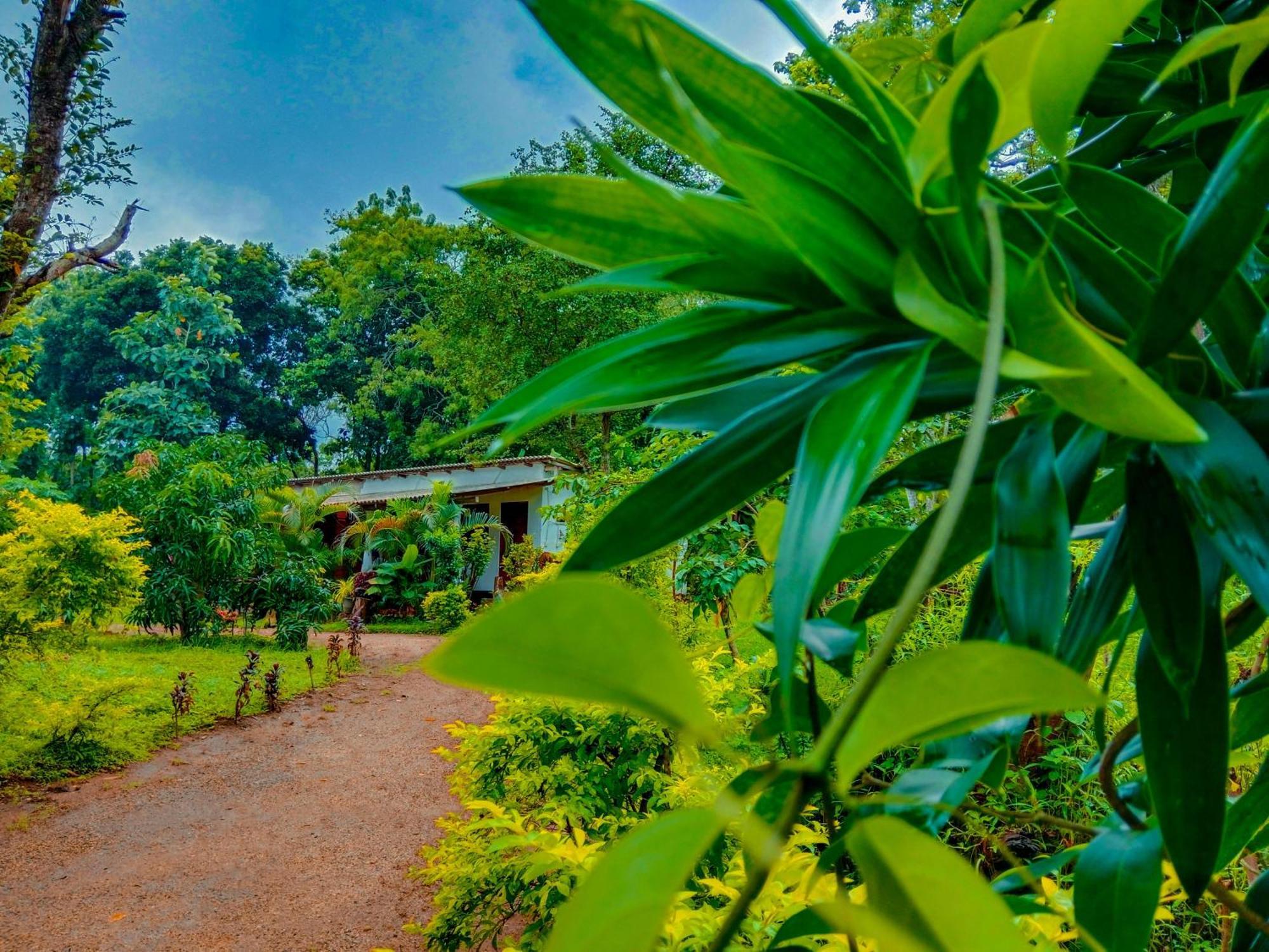 Chanaka Holiday Inn Sigiriya Buitenkant foto
