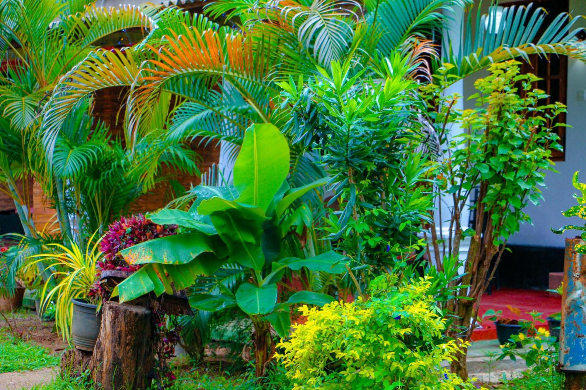 Chanaka Holiday Inn Sigiriya Buitenkant foto