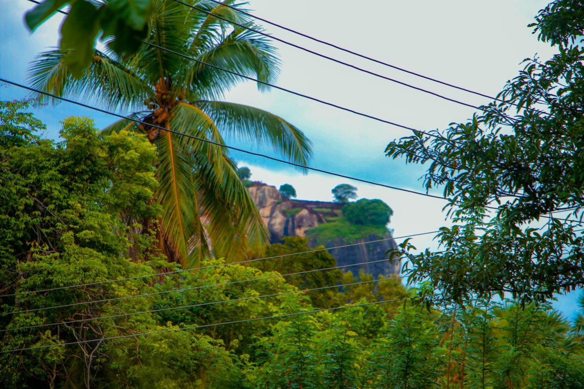 Chanaka Holiday Inn Sigiriya Buitenkant foto