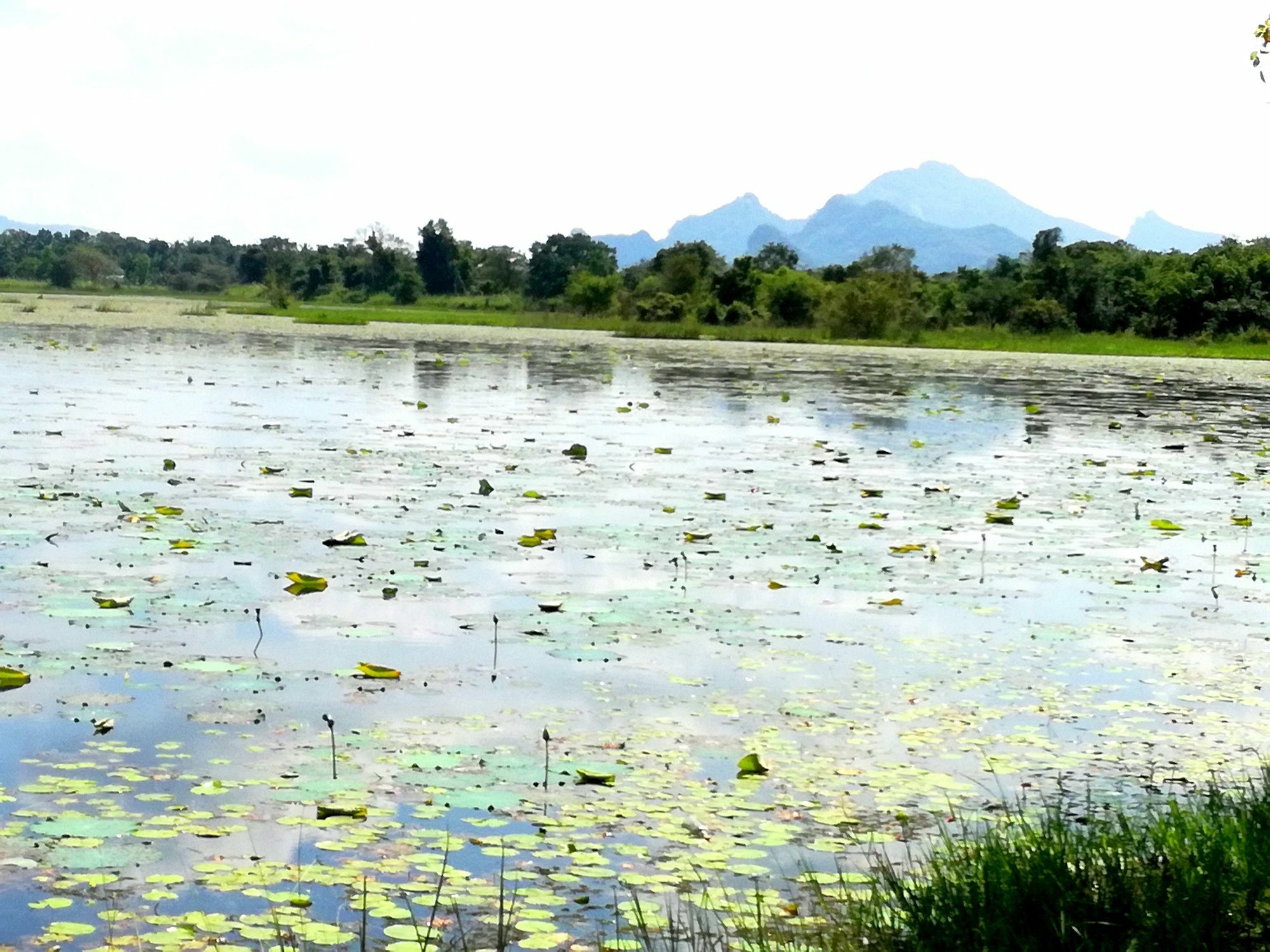 Chanaka Holiday Inn Sigiriya Buitenkant foto
